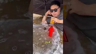 The 
