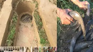 Amazing 6 Videos ! Dry Season Fisherman Catch & Collect A Lot Of Fish In Mud With Catch Fish Trap
