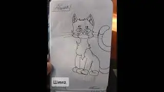 Наши работы с ЛП