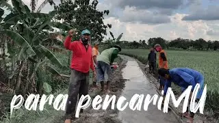 Para pencariMU