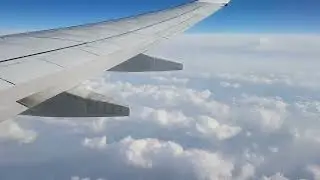 Airplane White Noise in 1st Class | Sleep, Study, Focus | 1 Hour Plane Sound