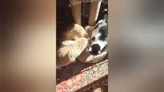 Наши будни. Будем рады Вашей помощи🙏🙏🙏