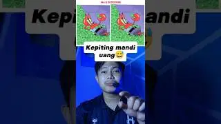 Temukan perbedaan pada gambar TUAN KRAB ini guys  🧐