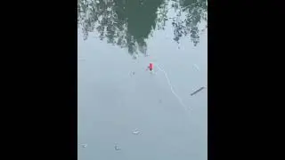 Рыбалка#