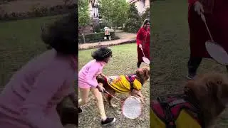 The Golden retriever and badminton @juniethegoldenretriever