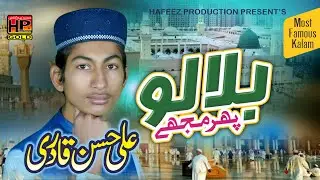 Bula Lo Phir Mujhe Aye Shahe Bahro Bhar Madinay Main Naat2024 | Ali Hassan Qadri | Hafeez Production