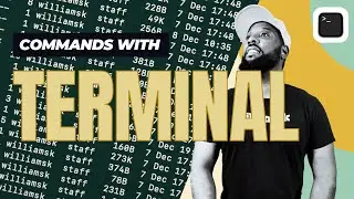 Terminal Commands 1: Essential Commands Every Developer Should Know