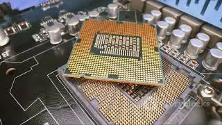 The Heart of Your Computer: Unveiling the Processor