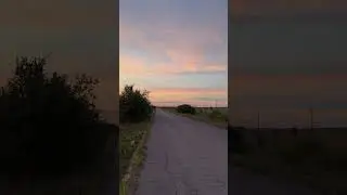 Закат в подсолнечных полях