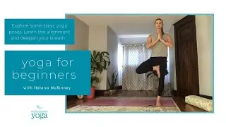 Yoga for Beginners