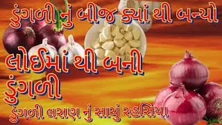 લસણ અને ડુંગળી શેમાંથી બન્યોઉ એનું બીજ ||लसून और पयाज का रहसय||ડુંગળી ખવાય ke ના ખવાય||ગુજરાતી કહાની
