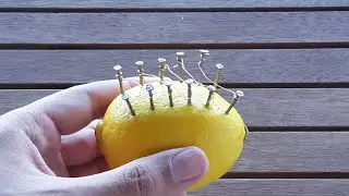How To Make Fire With A Lemon