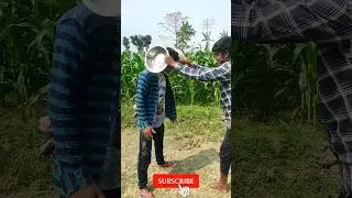 Hit the dish on the head Funny video 