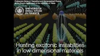 Hunting excitonic instabilities in low dimensional materials | Dr. Daniele Varsano