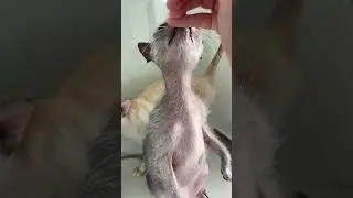 Такая любовь❤️ 