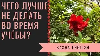 Чего лучше не делать во время учёбы?