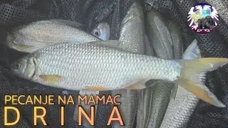 Drina ribolov na mamac