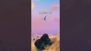 Best Locations to Farm Crops | Valheim