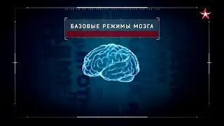 Слабоумие от Интернета.