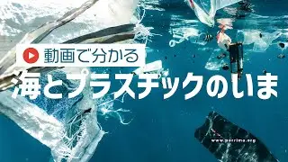海とプラスチックのいま