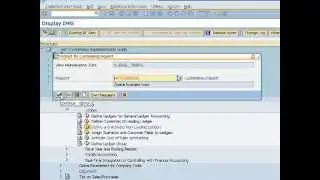 sap new gl configuration -Define and Activate Non Leading Ledgers