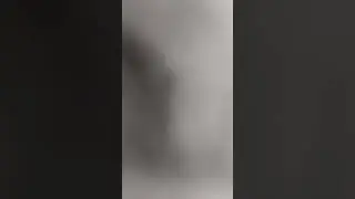 28 октября 2023 г.