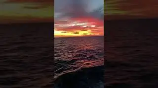 What a view 😍, crazy 😜.      #views #crazy #amazingplaces #shorts #shortvideo #sea #followme #likes