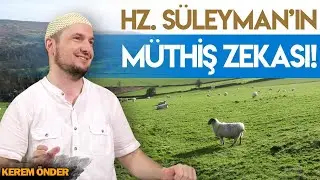 HZ  SÜLEYMAN’IN MÜTHİŞ ZEKASI!  Kerem Önder