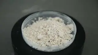 Polygonum Cuspidatum Extract Resveratrol 98%