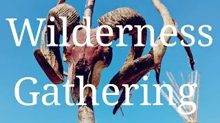 Wilderness Gathering 2024 and Wild Camp