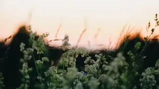 echo. - Drowning