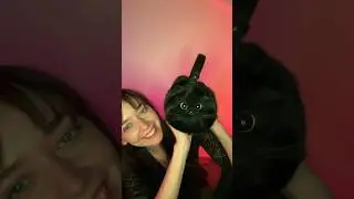 Купила кошко-сумку 😭❤️ 