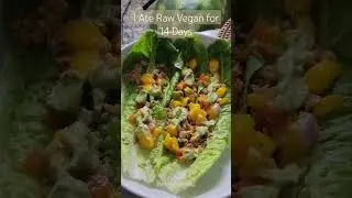 I Ate Raw Vegan for 14 Days | Here Are My Results 