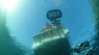 In the Shallows