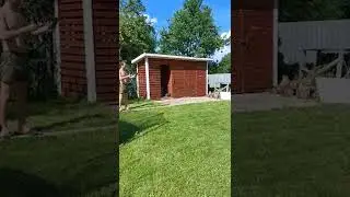 Робин