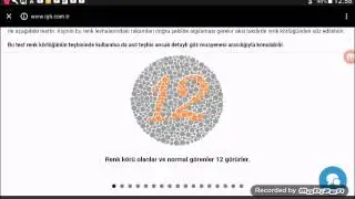 Renk körlüğü testi