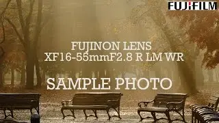 Fujifilm XF 16-55mm F2 8 R LM WR Fujinon Lens - Sample Photo