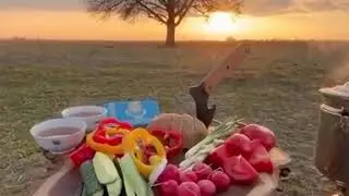 Карантин пикник