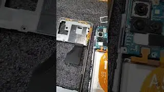 Samsung a51 вид изнутри 