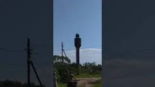Семейка аистов