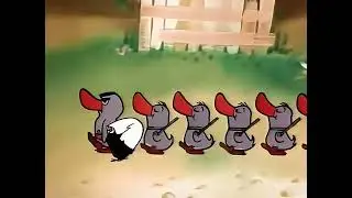 Calimero Intro QHD