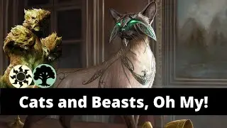 Selesnya Cats | M21 Standard Deck Guide