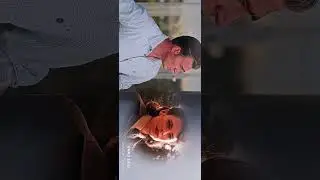 MARVEL STATUS   THE CHARACTER HAS LOST HIS LOVE MARVEL 💔 SAD MOMENT #lost #missing #broken
