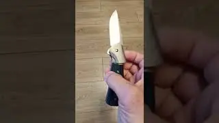 Buck Paradidm