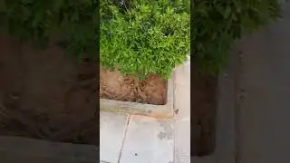 А все ли есть в Греции