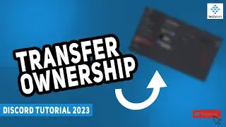 How to Transfer Ownership on Discord 2024 [New Method]
