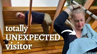 New arrivals on our Portugal Homestead