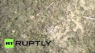Ukraine  Body of impaled man found in Kharkov GRAPHIC