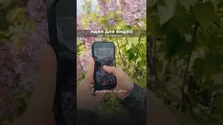 Идея для видео