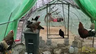 WOW!!!                                                WHAT IS GOING ON HERE???
